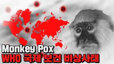 엠폭스(MPOX), 원숭이두창 증상 및 WHO 국제 보건 비상사태 선포