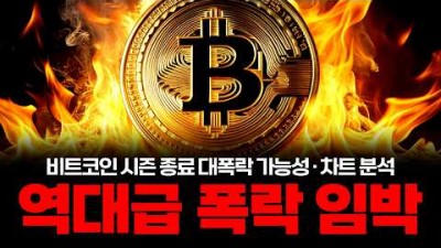 비트코인 대폭락장 시작?
